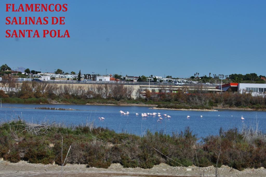 Estudio Marina De Santa Pola Eksteriør billede
